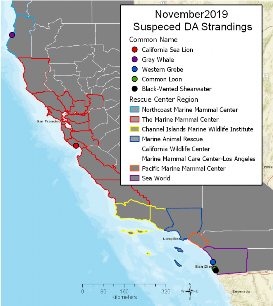 California HAB Bulletin: November 2019 | Southern California Coastal ...