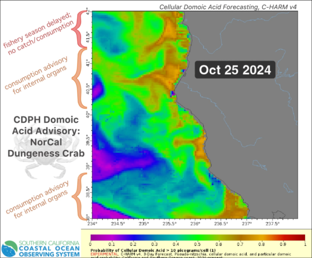 Domoic Acid Alert: C-HARM & CDPH Dungeness Crab Advisory