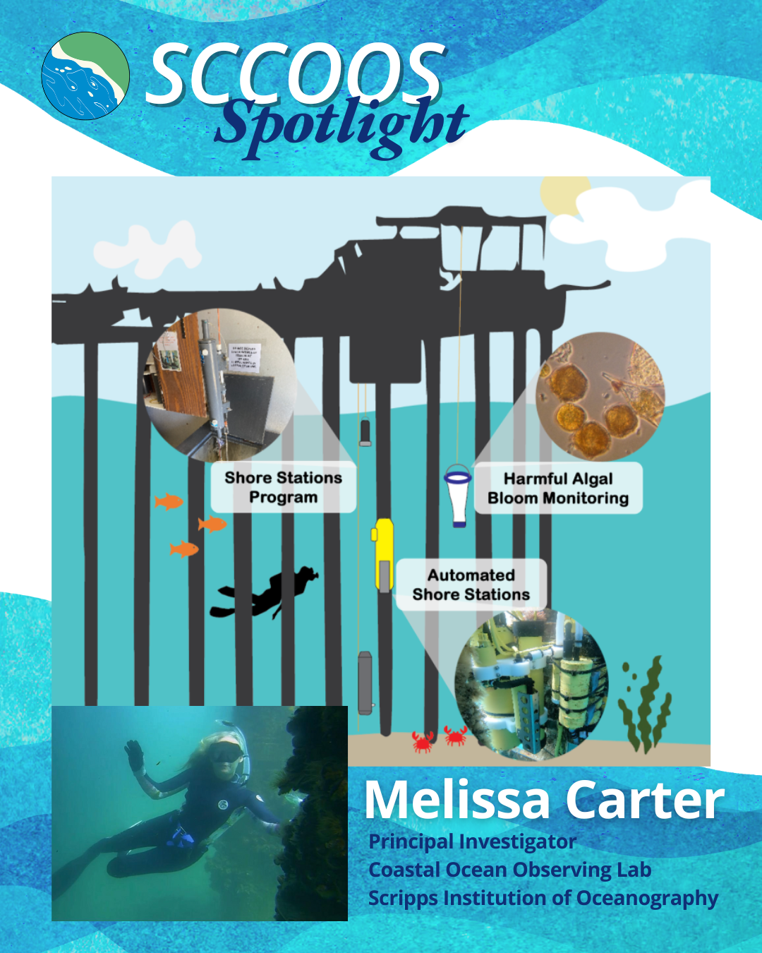 PI Spotlight, Melissa Carter